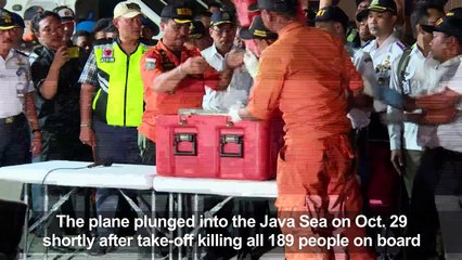 One 'black box' recovered from Indonesia jet