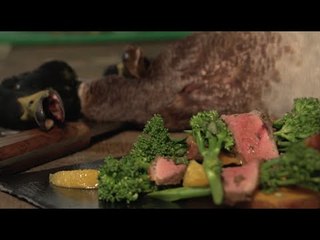 Learn how to butcher and cook a duck like a foraging hero