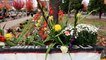 Le collectif Les Morts de la rue rend hommage aux SDF à Grenoble