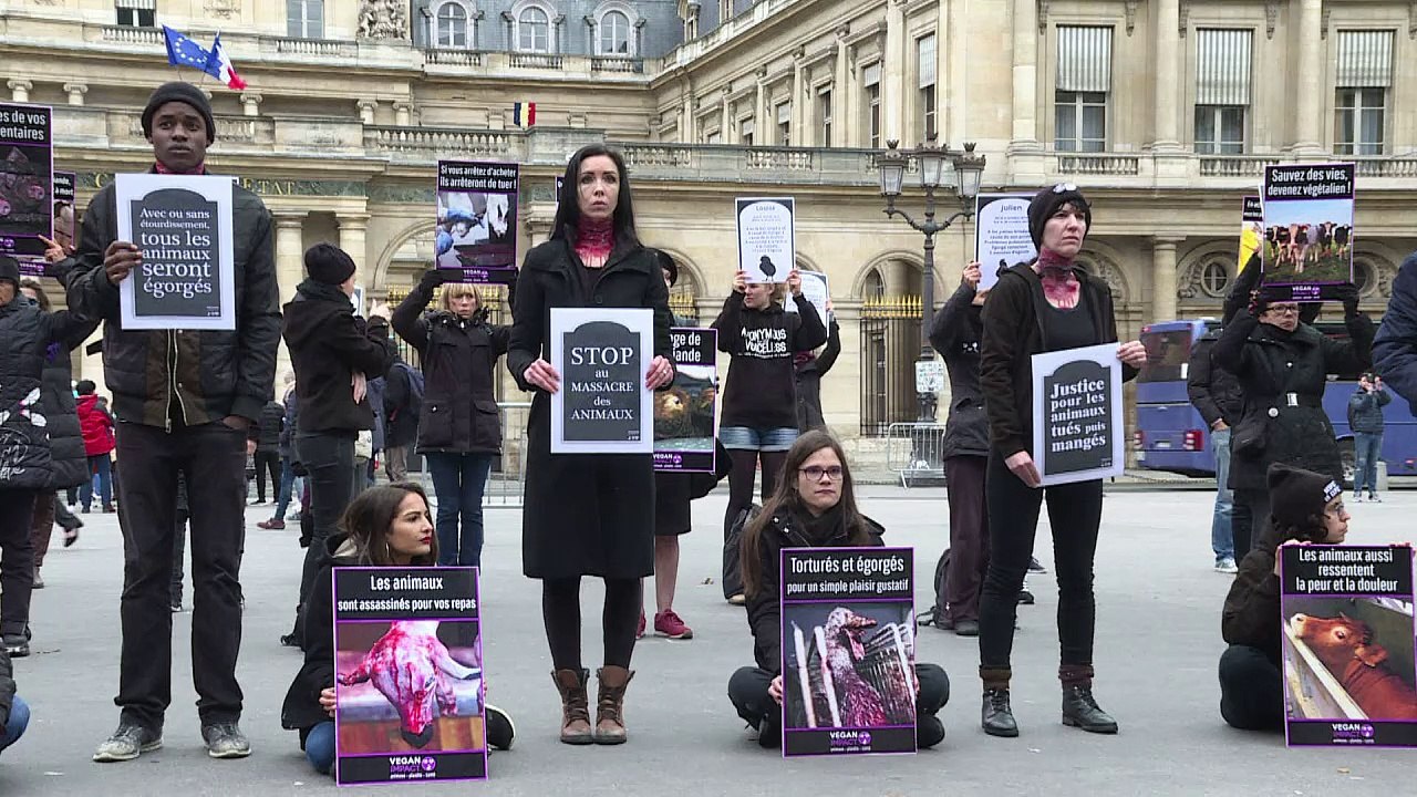 Vegan activists protest against animal slaughter in Paris