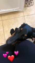 Peyton Royce - Peyton's Instagram Stories September 14th 2018 04