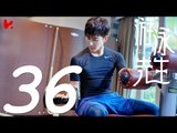【ENG SUB】游泳先生 Mr Swimmer EP36（主演：鞠婧祎、Mike、嚴禹豪、張莎莎、胡兵、黃馨瑤）