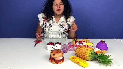 I CUT UP ALL MY SISTERS SQUISHIES