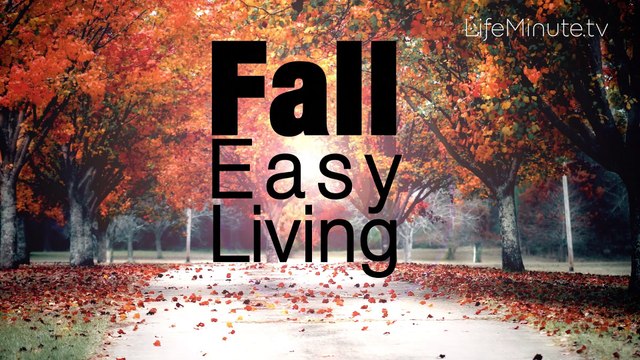 Skincare Must-Haves to Make Life Easier This Fall