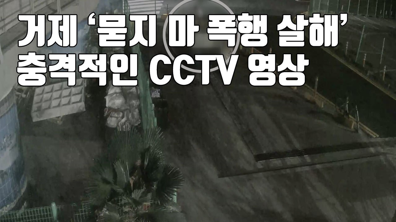[자막뉴스] '거제 묻지 마 폭행 살해'...경찰 부실 수사 논란 / YTN