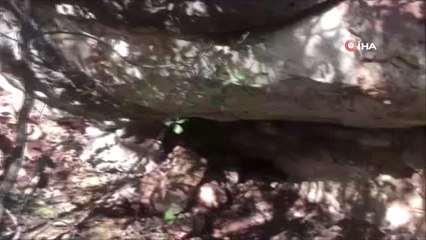 Diyarbakır'da Metropol İllere Saldırı Hazırlığında 3 Terörist Yakalandı