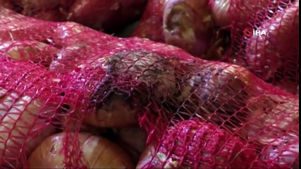 Soğan Depolarda Çürümeye Başladı, Fiyat Artışı Bekleniyor