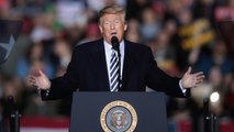 Donald Trump Says 'Two Maniacs' Stopped 'Tremendous Momentum' for GOP Ahead Of Midterms