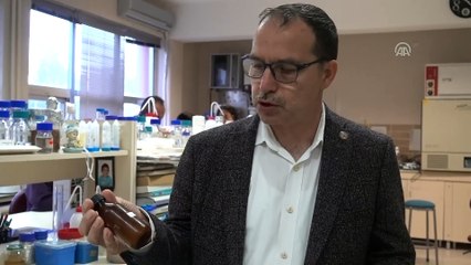 AIDS tedavisinde 'propolis' şifası - TRABZON