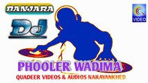 BANJARA DJ SONG NEW PHOOLER VADIMA MASS BEAT 2018 QVIDEOS