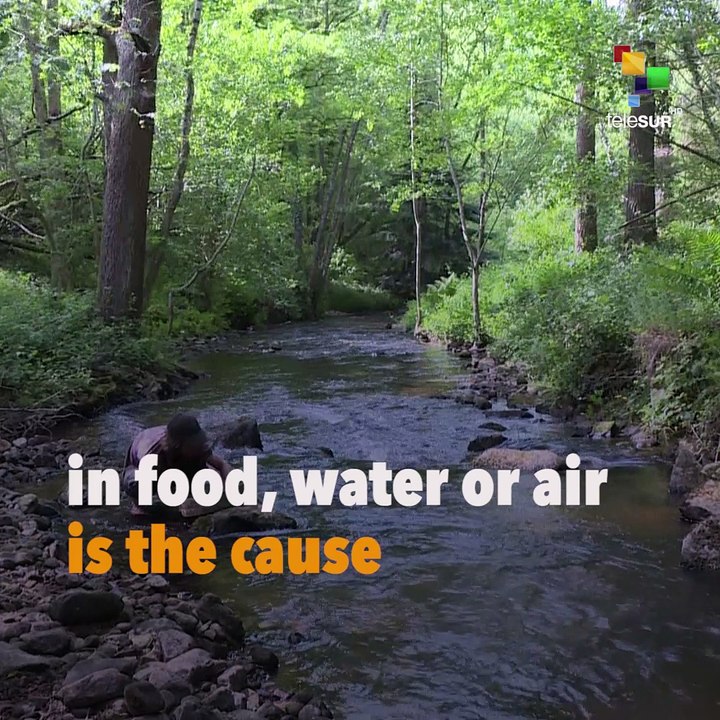 Are Pesticides Causing Malformed Births In France?