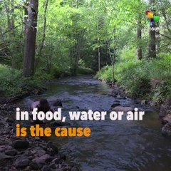 Are Pesticides Causing Malformed Births In France?