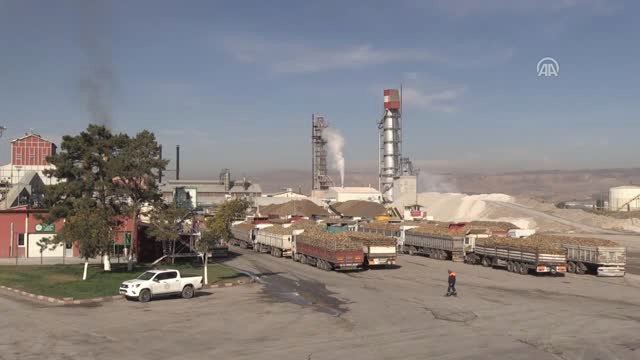 Ekonomiye Şeker Tadında Katkı Sağlıyor