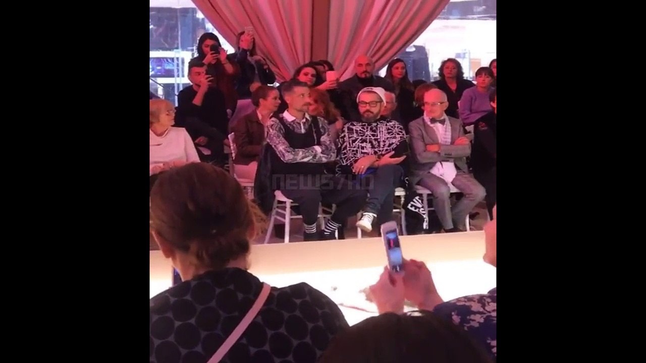 A cat on a fashion show platform
