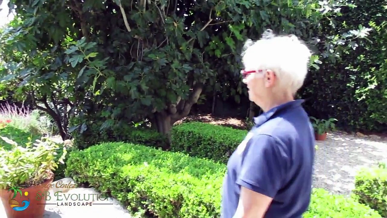 Repaired all the yard irrigation issues and gardening work - Client Testimonial