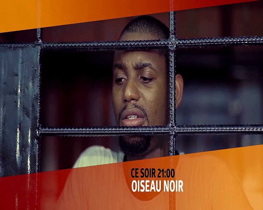 OISEAU NOIR