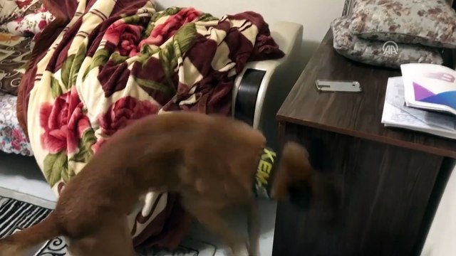 Bursa merkezli uyuşturucu operasyonu - BURSA