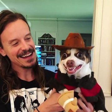 Mr. Bubs viendra vous faire des cauchemars lol