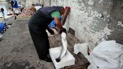 Bir metrelik levrek 700 liraya satıldı - ZONGULDAK