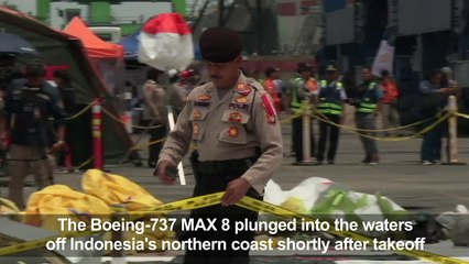 Search teams recover seats, wheels from Indonesia jet crash site