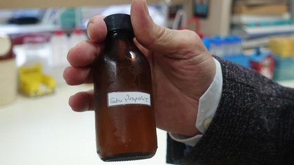 VİDEO | AIDS hastalarına umut olacak proje: Propolis tedavisi