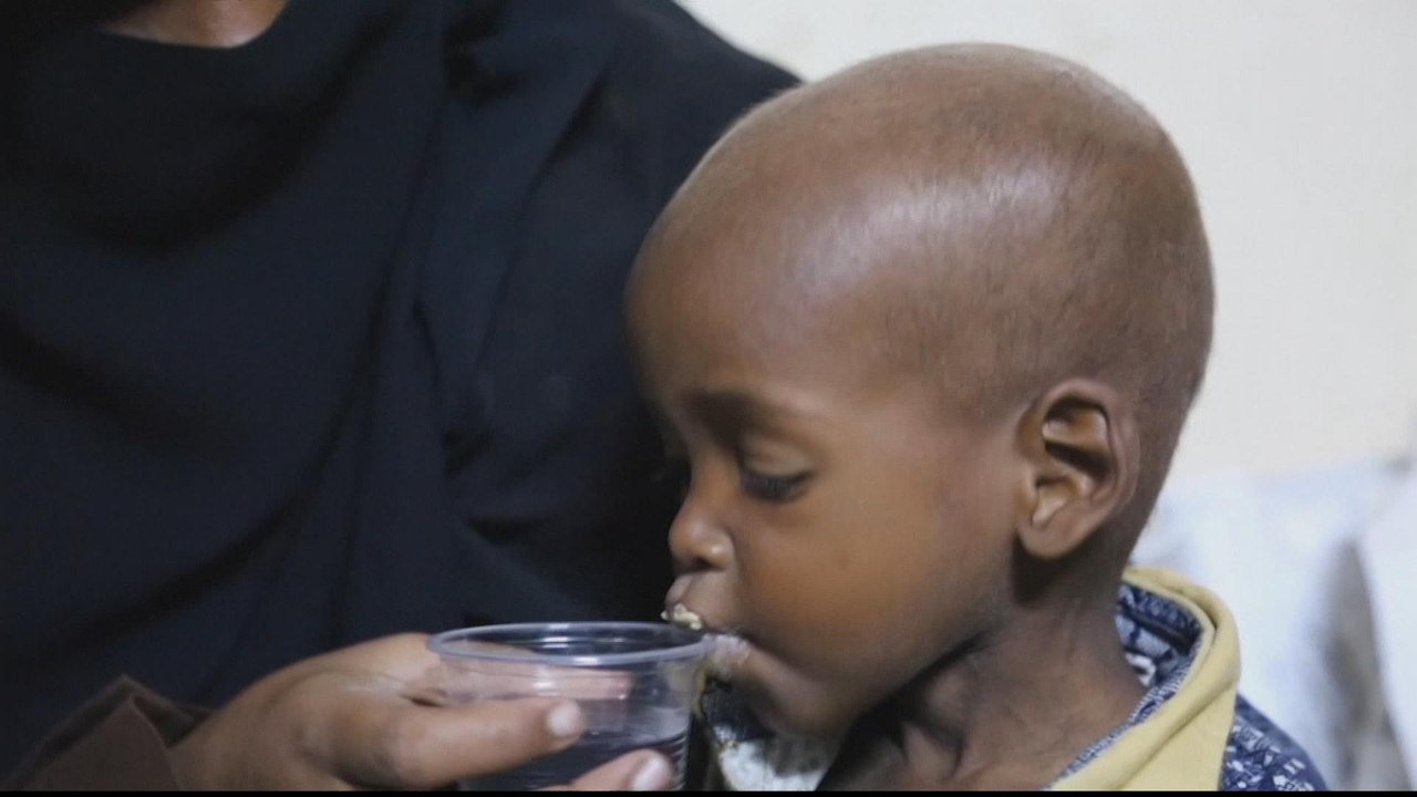 Saudi-UAE troops in Yemen preparing for major offensive