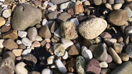 La pollution aux hydrocarbures a atteint les plages de Port-de-Bouc