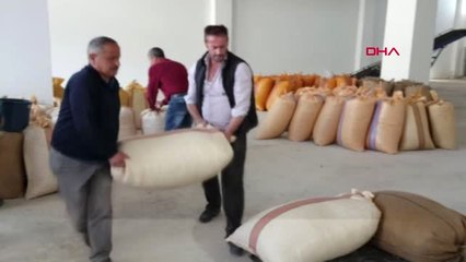 Ordu Tzob Yönetim Kurulu Üyesi Soydan Fındık Üreticisi Kazanmıştır