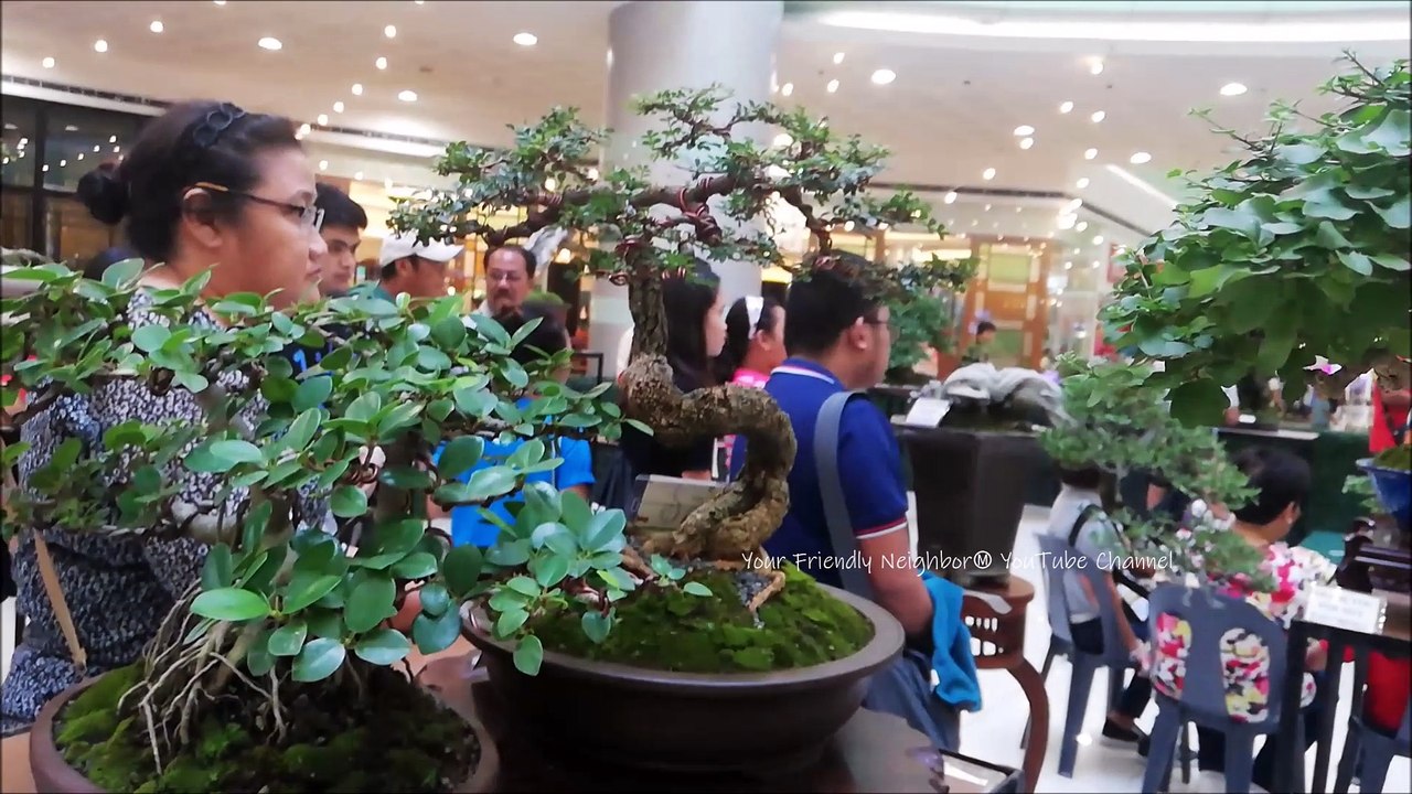 Bonsai Show At SM Dasmariñas