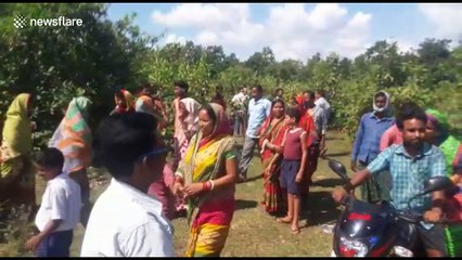 Young elephant climbs out of 35-feet well after dramatic rescue