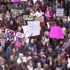La "vague rose" va-t-elle déferler sur le Congrès américain ?