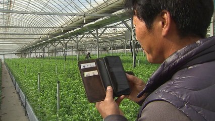 음성으로 농사 짓는다...변화하는 스마트팜 / YTN