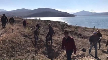 Demirözü Barajı Çevresine 70 Bin Fidan Dikildi