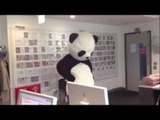 Huge Panda pays a visit to Closer magazine HQ and does a little dance