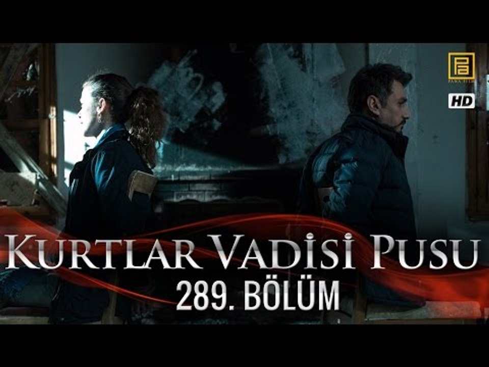 Kurtlar Vadisi Pusu 289. Bölüm