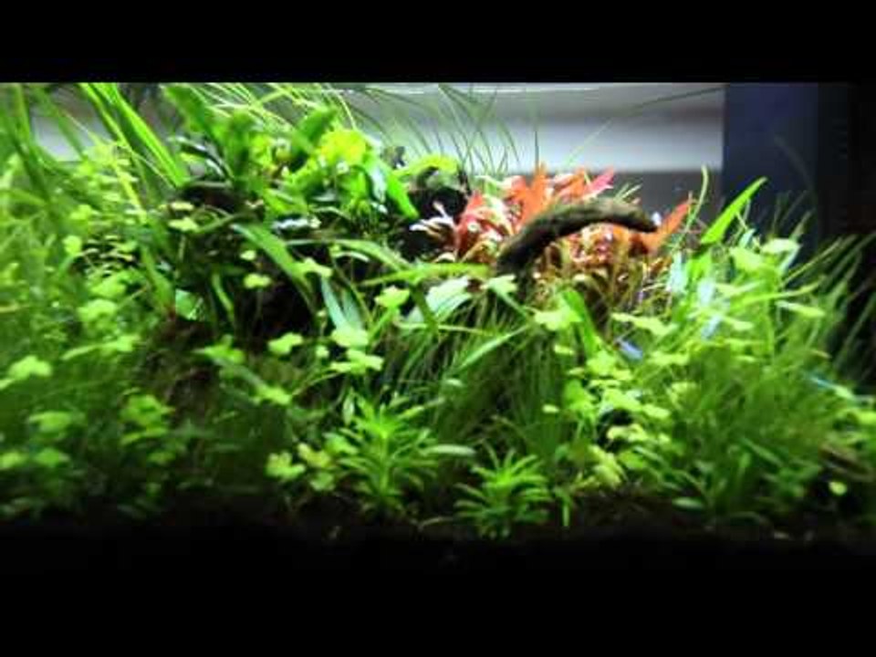 Home 60 final slider