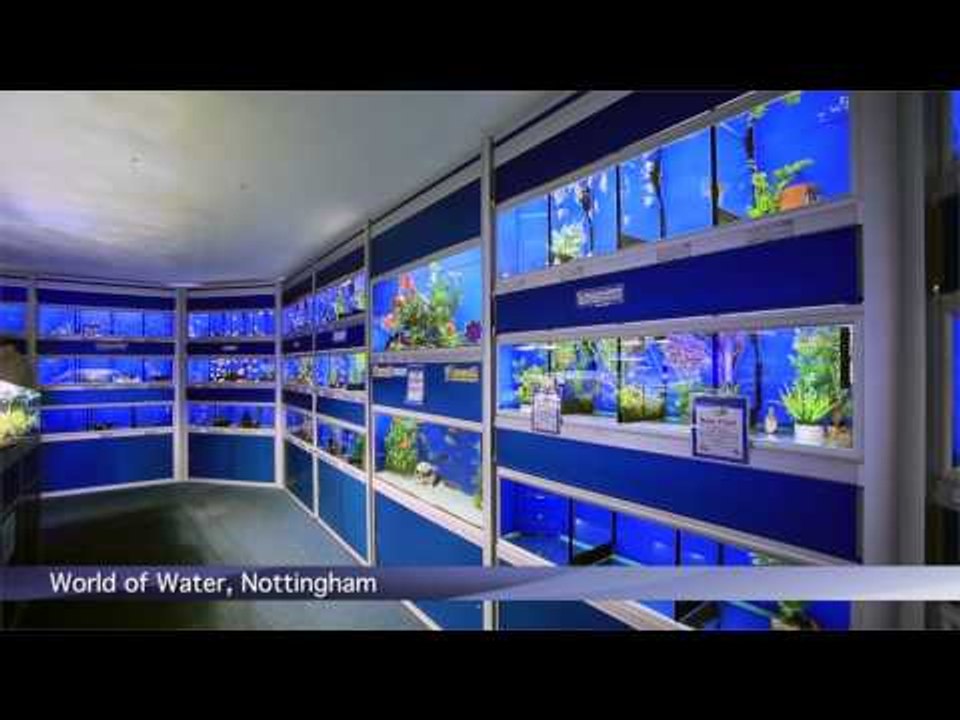 PFK Shoptour: World of Water, Nottingham