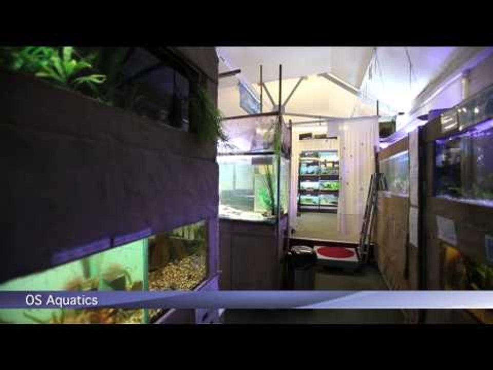 PFK shoptour: OS Aquatics, Dorest