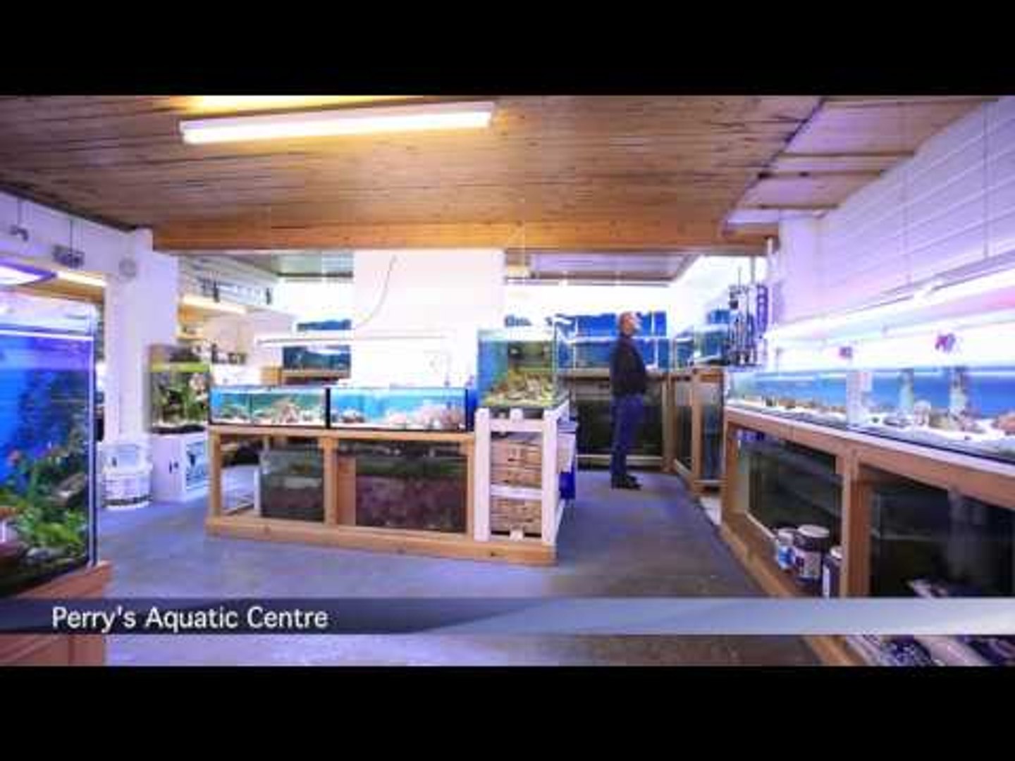 ⁣Perry's Aquatics, Lincolnshire