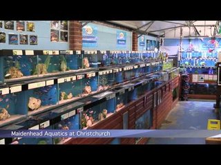 PFK shoptour: Maidenhead Aquatics @ Christchurch, Dorset