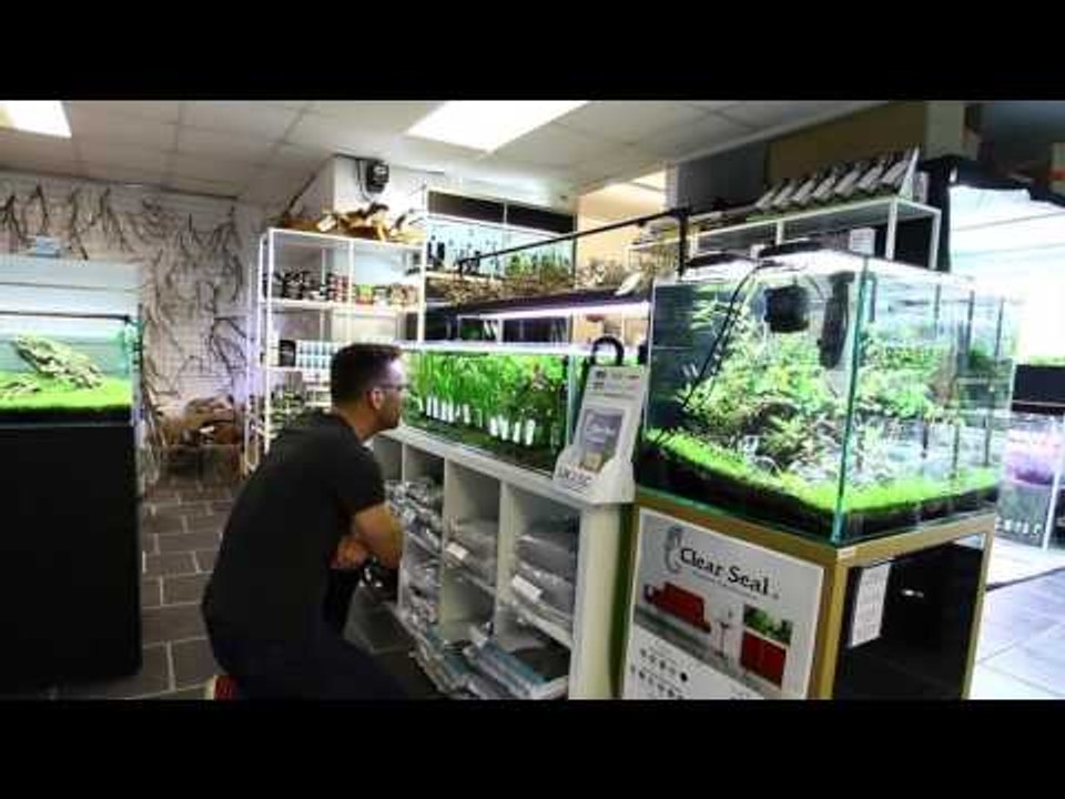 Aquarium Gardens PFK shoptour