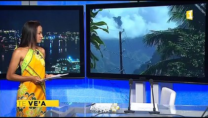 Te maferara'a tamari'i i Papara Ve'a_Tahiti_P1_22.1.14