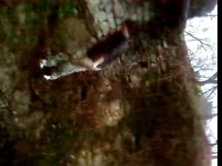 Régis tombe a l'eau