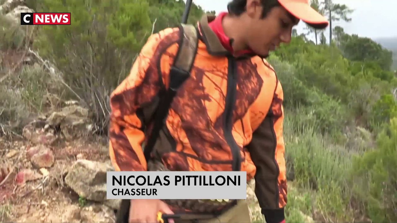 Corse : les chasseurs affirment être essentiels pour réguler la population de sangliers