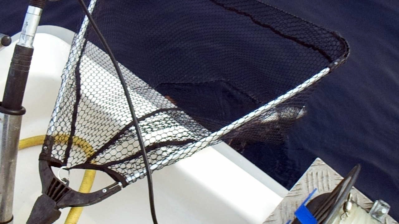 pêche au treuil 3