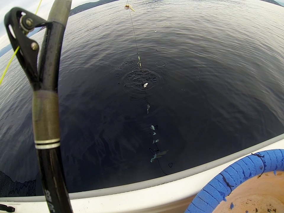 pêche au treuil