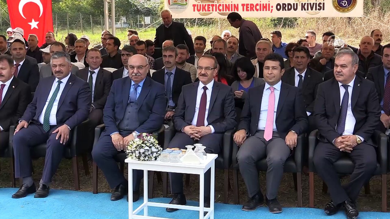 'Ordu Kivisi Hasat Şenliği' düzenlendi - ORDU