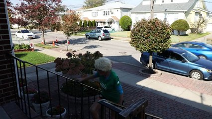 Ginette, 85 ans et 16 marathons de New York