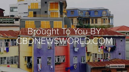 High Quality CBD Oil For Epilepsy