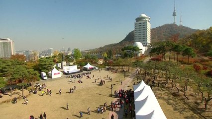 [날씨] 맑고 온화한 주말...남산길 함께 걸어요! / YTN